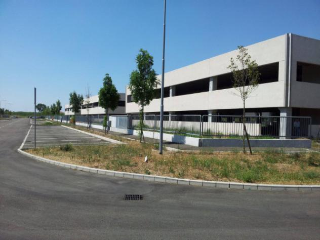 pentavano in vendita a Medicina