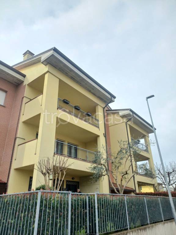 appartamento in vendita a Medicina