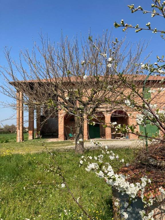 casa indipendente in vendita a Medicina