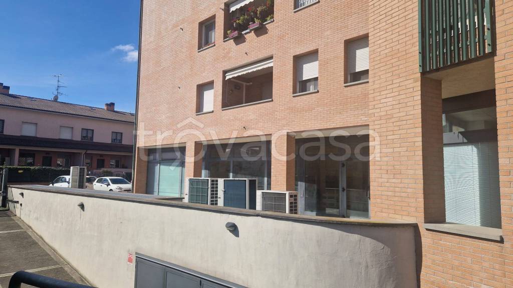 negozio in vendita a Medicina