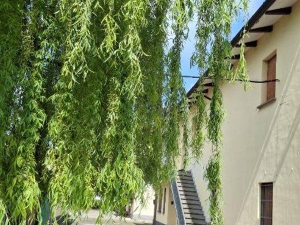 casa indipendente in vendita a Medicina