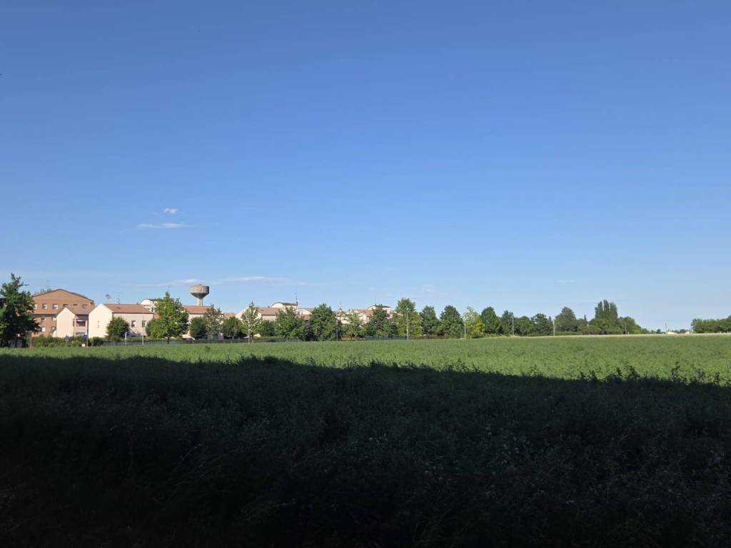 appartamento in vendita a Medicina