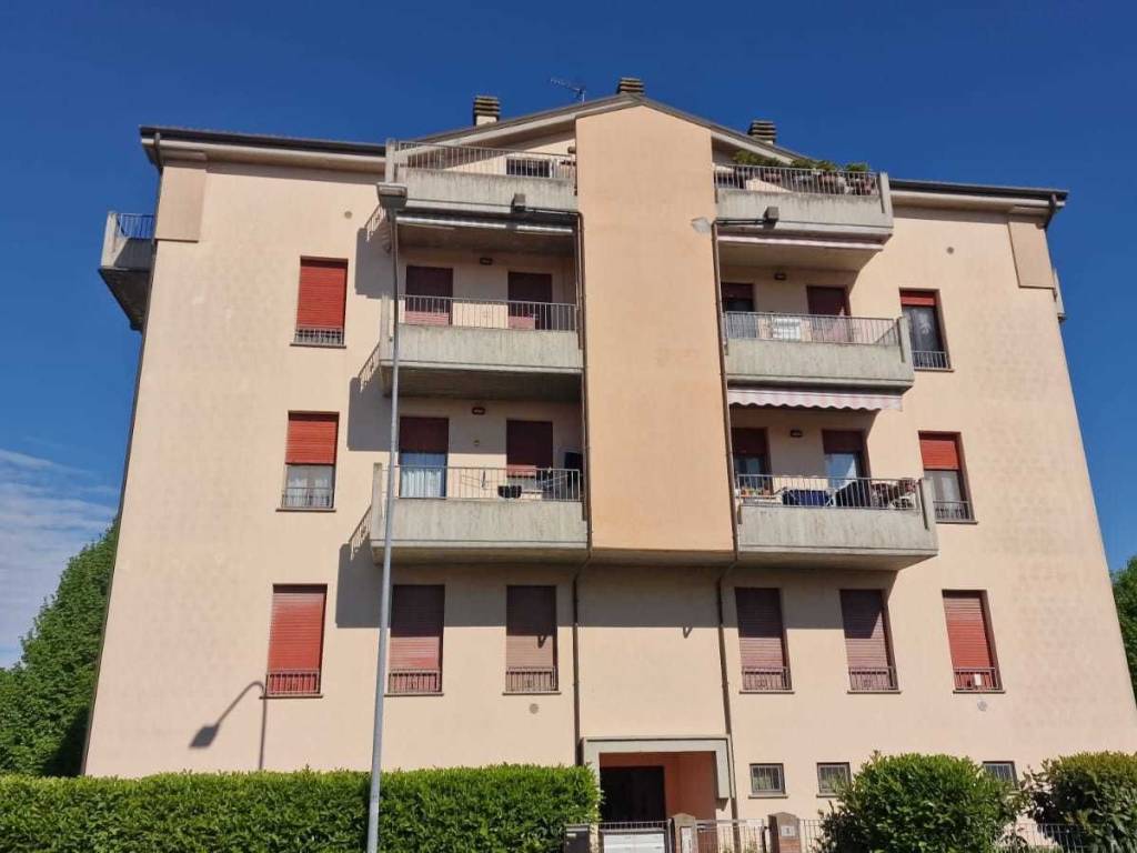 appartamento in vendita a Minerbio