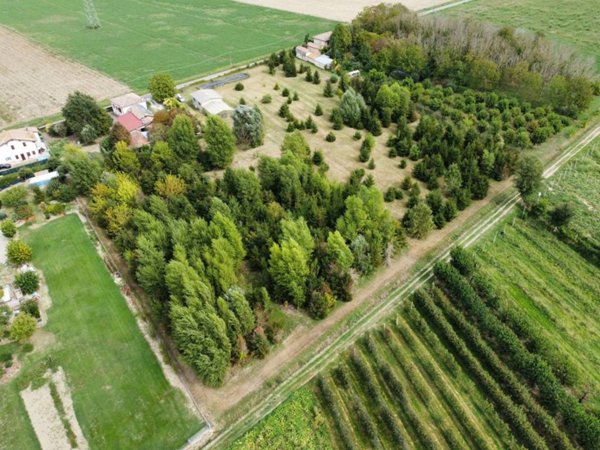 terreno agricolo in vendita a Minerbio