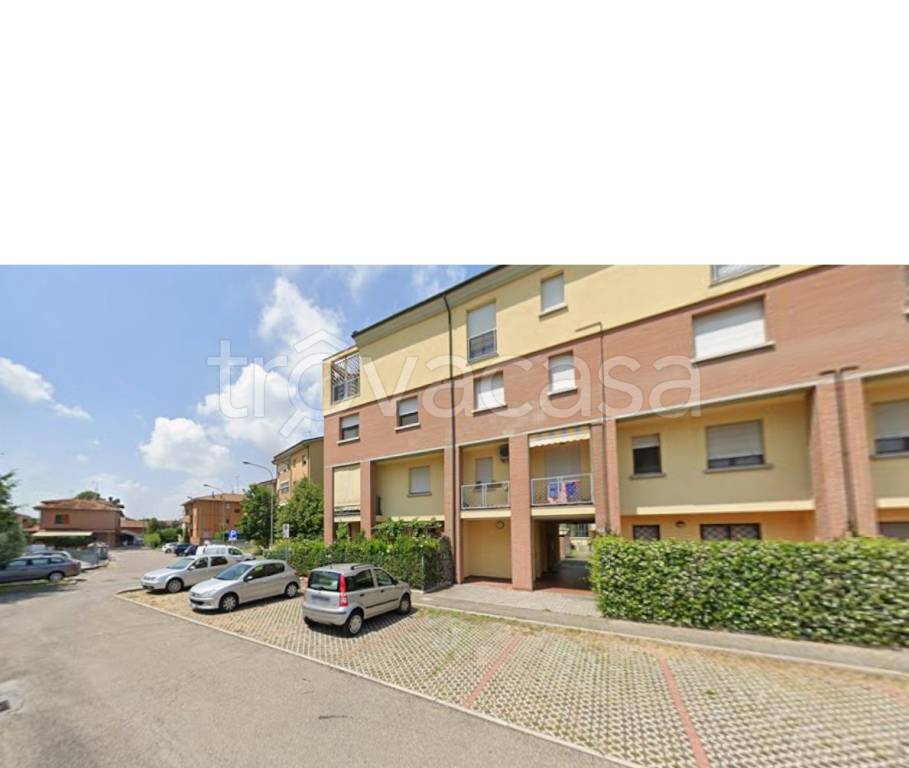 appartamento in vendita a Minerbio