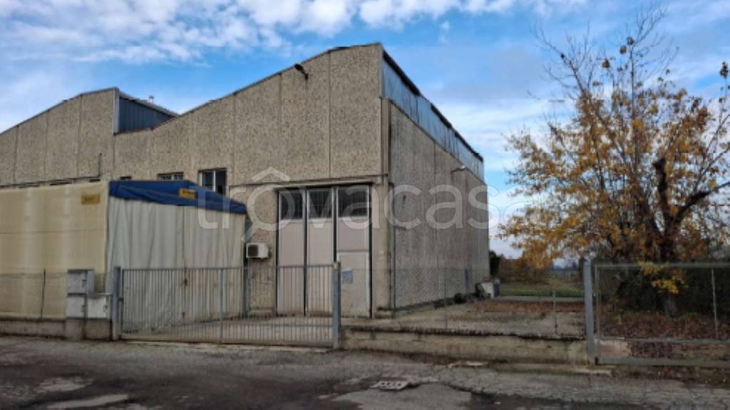 negozio in vendita a Minerbio