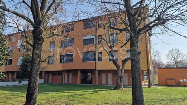 appartamento in vendita a Minerbio