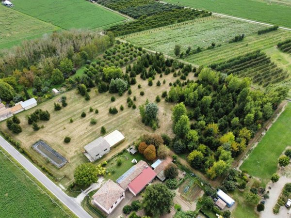 locale commerciale in vendita a Minerbio