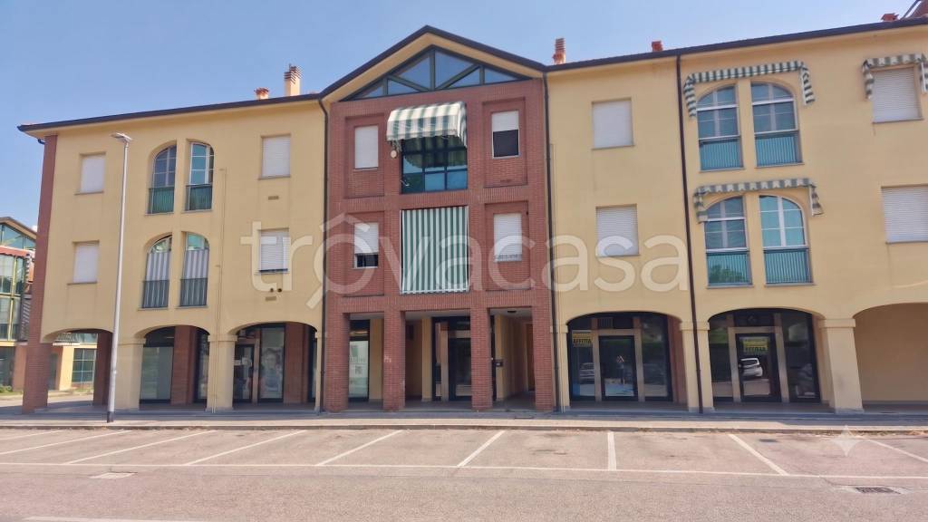 appartamento in vendita a Minerbio