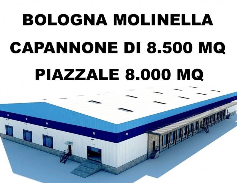 negozio in vendita a Molinella