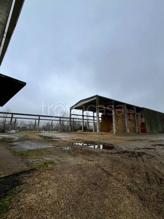 terreno agricolo in vendita a Molinella