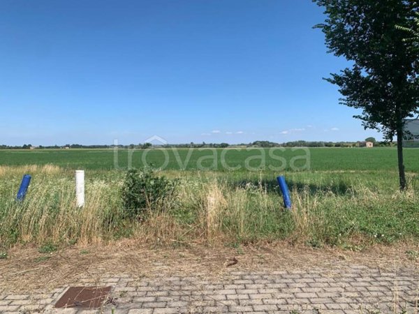 terreno agricolo in vendita a Molinella in zona San Martino in Argine