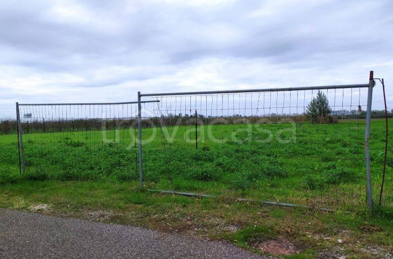 terreno agricolo in vendita a Molinella
