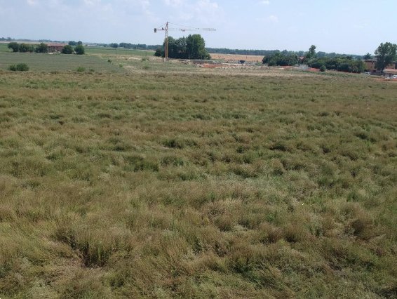 terreno edificabile in vendita a Molinella