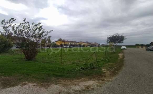 terreno agricolo in vendita a Molinella in zona Marmorta