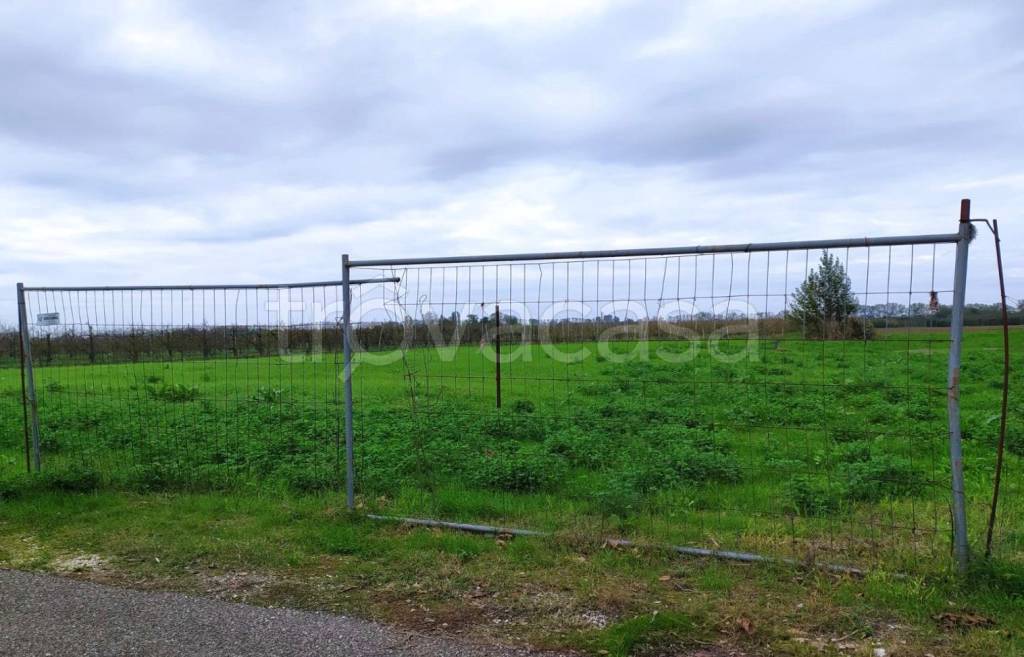 terreno agricolo in vendita a Molinella in zona Marmorta
