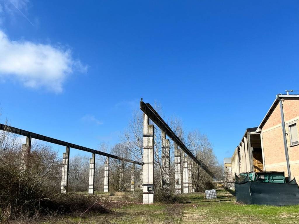 terreno agricolo in vendita a Molinella