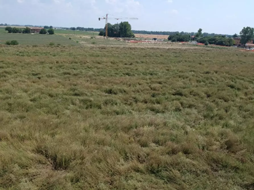 terreno edificabile in vendita a Molinella