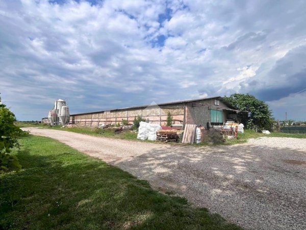 terreno agricolo in vendita a Molinella