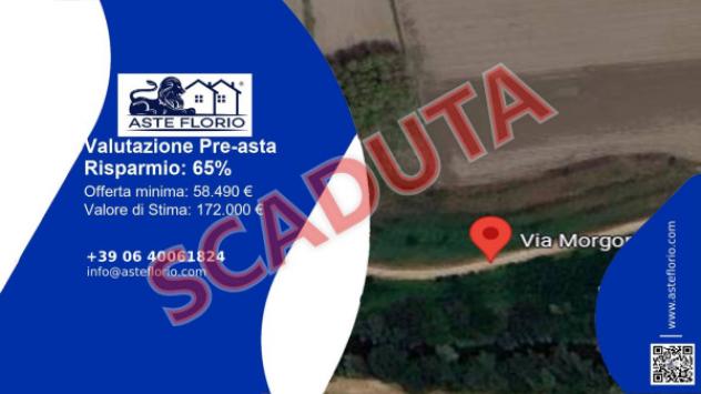 terreno agricolo in vendita a Molinella