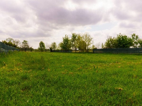 negozio in vendita a Molinella in zona San Pietro Capofiume
