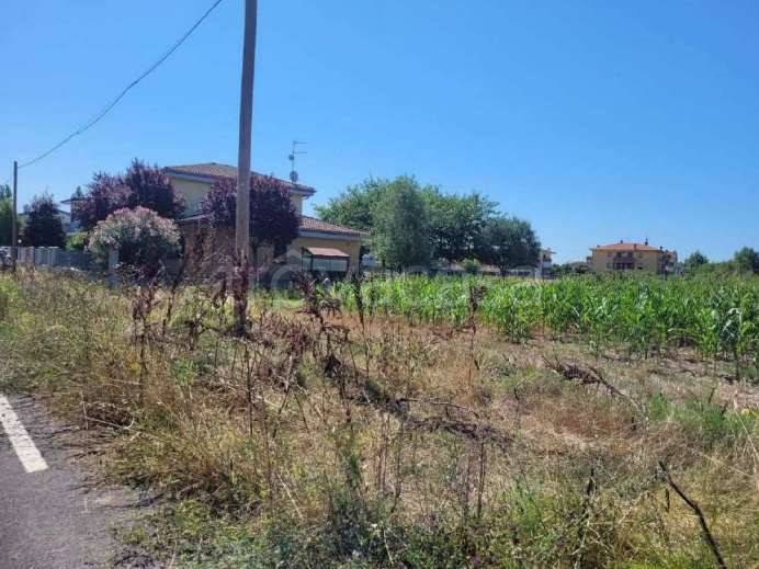 appartamento in vendita a Molinella