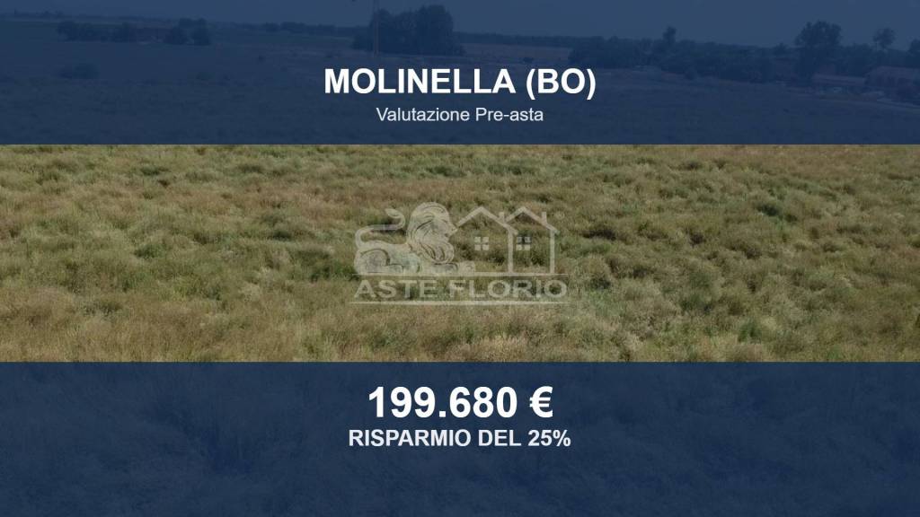 terreno agricolo in vendita a Molinella