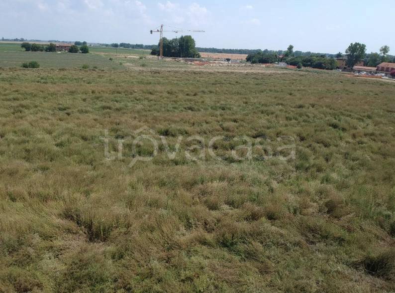 ufficio in vendita a Molinella