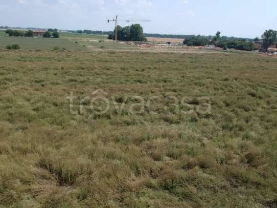 appartamento in vendita a Molinella