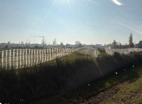terreno agricolo in vendita a Molinella