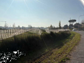 terreno agricolo in vendita a Molinella