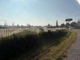 appartamento in vendita a Molinella