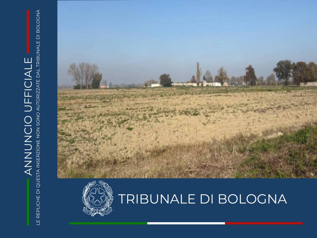 terreno agricolo in vendita a Molinella