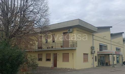 negozio in vendita a Molinella