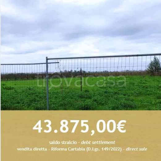 appartamento in vendita a Molinella