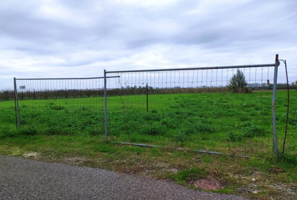 terreno agricolo in vendita a Molinella