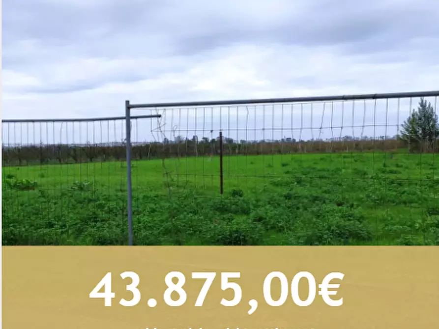 terreno agricolo in vendita a Molinella