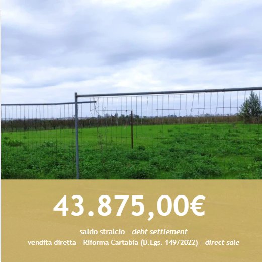 terreno agricolo in vendita a Molinella