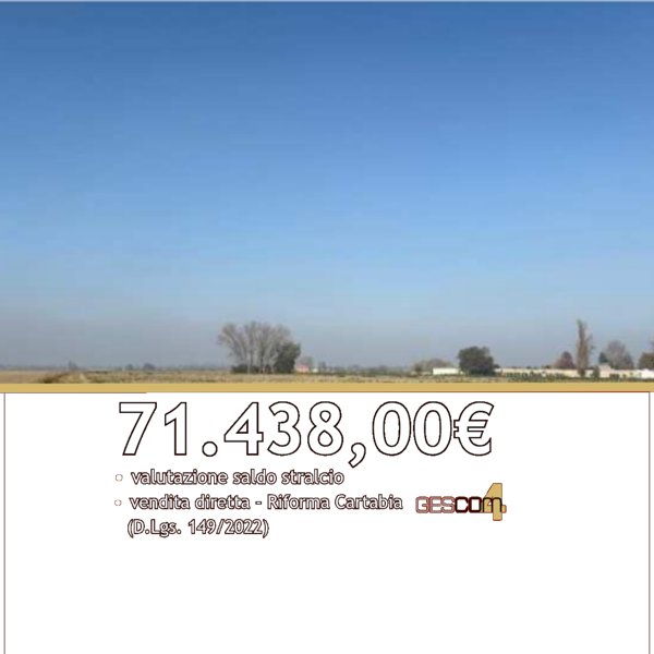 terreno agricolo in vendita a Molinella