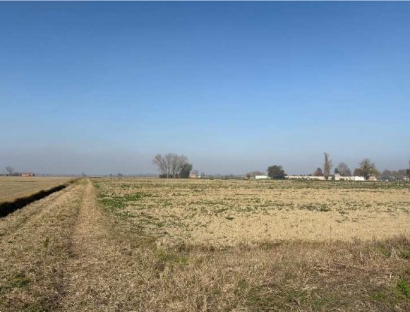 terreno agricolo in vendita a Molinella