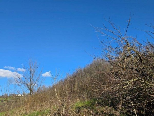 terreno agricolo in vendita a Monghidoro in zona Campeggio