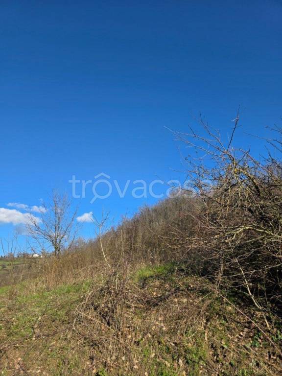 terreno agricolo in vendita a Monghidoro in zona Campeggio
