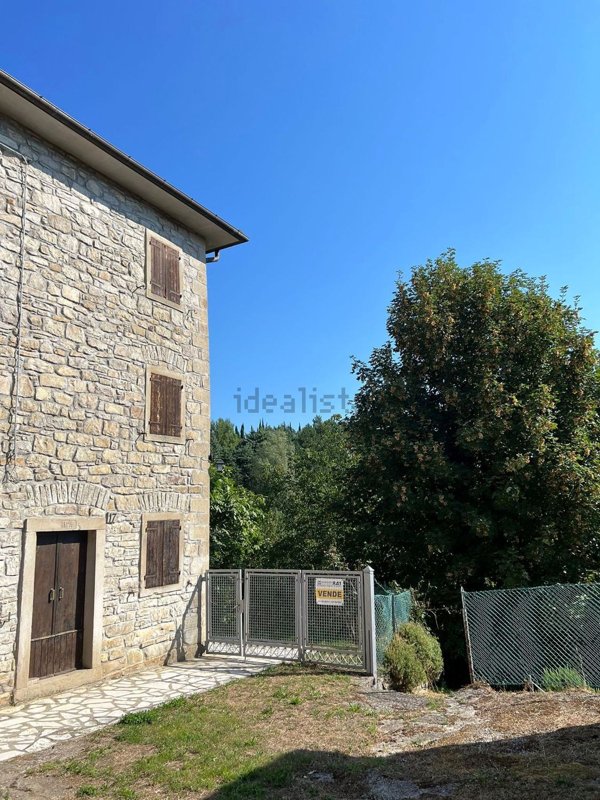 esavano in vendita a Monghidoro in zona Campeggio