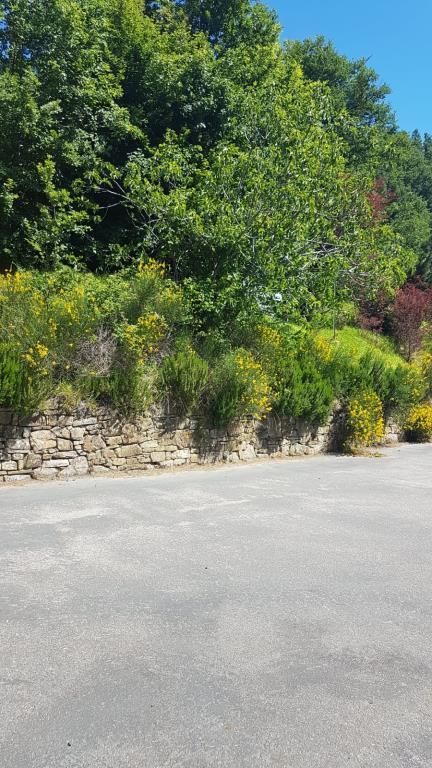 casa indipendente in vendita a Monghidoro in zona Campeggio