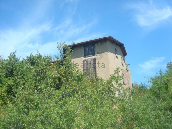 pentavano in vendita a Monterenzio