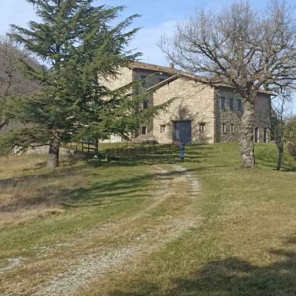 casa indipendente in vendita a Monterenzio in zona Bisano