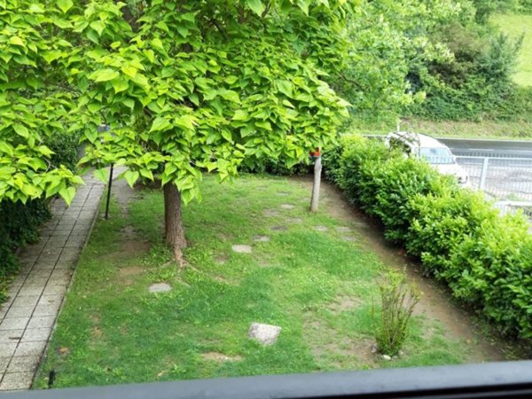 casa indipendente in vendita a Monterenzio in zona Savazza