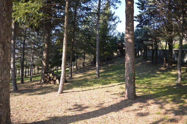 terreno edificabile in vendita a Monterenzio
