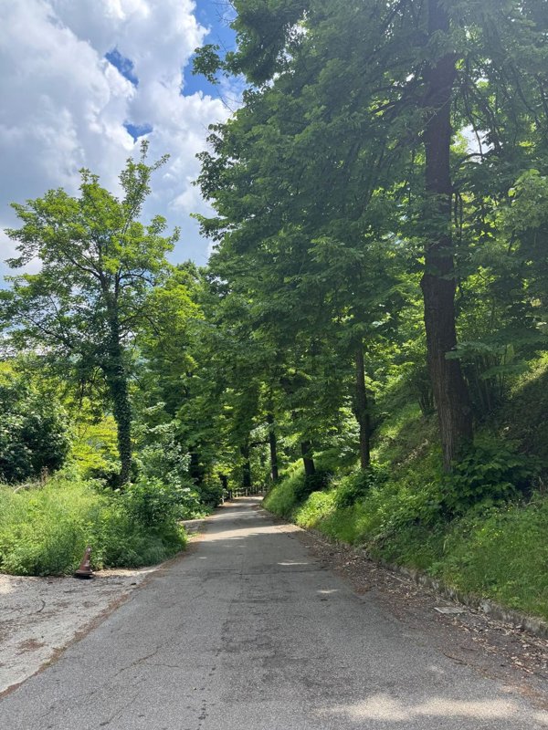 terreno agricolo in vendita a Monterenzio
