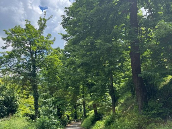 terreno agricolo in vendita a Monterenzio in zona Pizzano